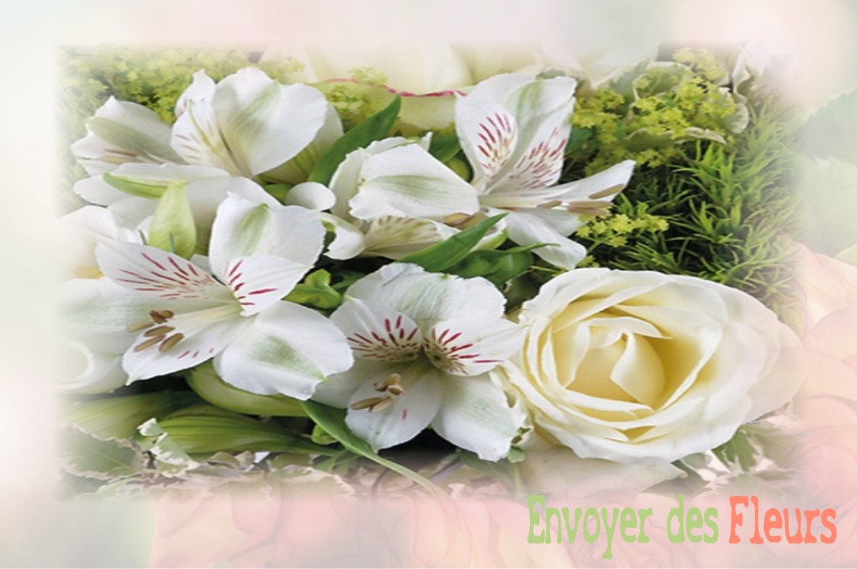 envoyer des fleurs à à SAINT-MARTIN-DE-FRESSENGEAS
